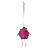 QHP Voer & Speelbal - Roze