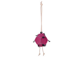 QHP Voer & Speelbal - Roze