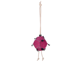 QHP Voer & Speelbal - Roze