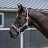 QHP Halster met Voering - Zebra