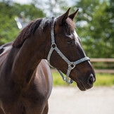 QHP Halster met Voering - Zebra