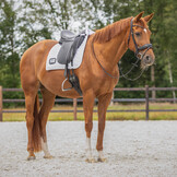 QHP Zadeldek nummer - Wit