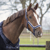 QHP Halsterset Sension Soft - Navy