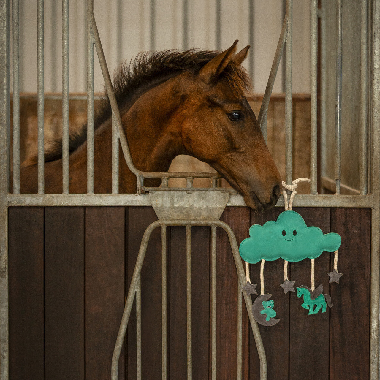QHP Paardenspeelgoed Novy - Groen
