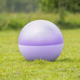 QHP Paardenvoetbal Two-Tone - Paars