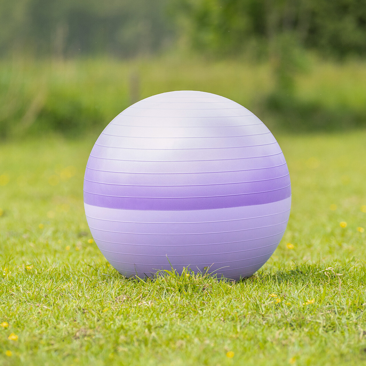 QHP Paardenvoetbal Two-Tone - Paars