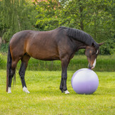 QHP Paardenvoetbal Two-Tone - Paars