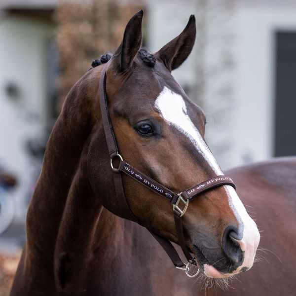 HV Polo Halster HVPNena - Brown