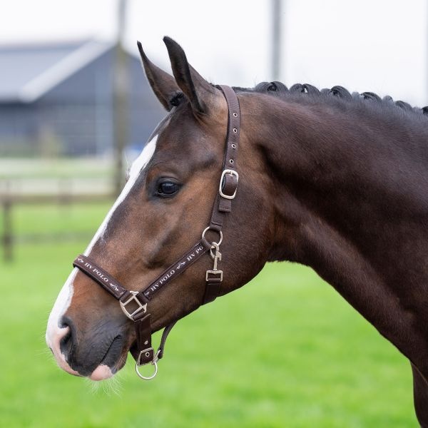 HV Polo Halster HVPNena - Brown