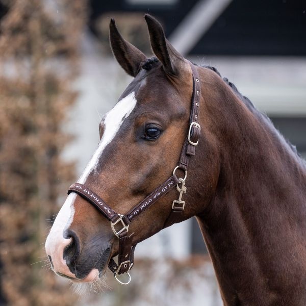 HV Polo Halster HVPNena - Brown