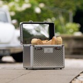 Imperial Riding Grooming Box IRHShiny - Zilver
