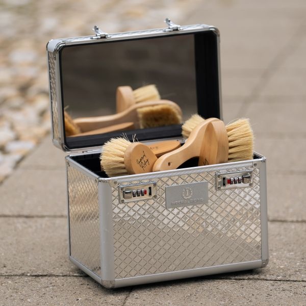 Imperial Riding Grooming Box IRHShiny - Zilver