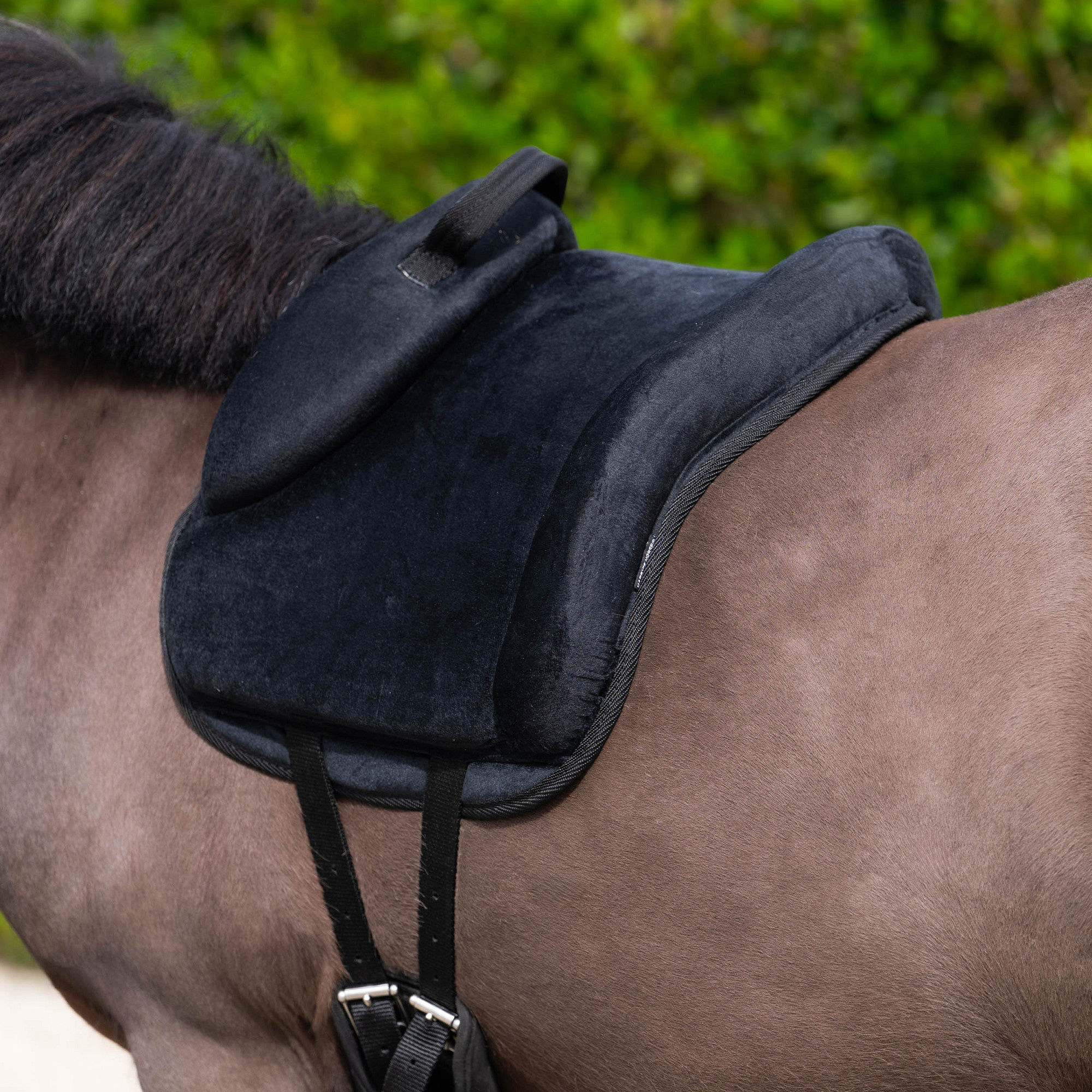 Harry's Horse Bareback pad Ultimate - Zwart