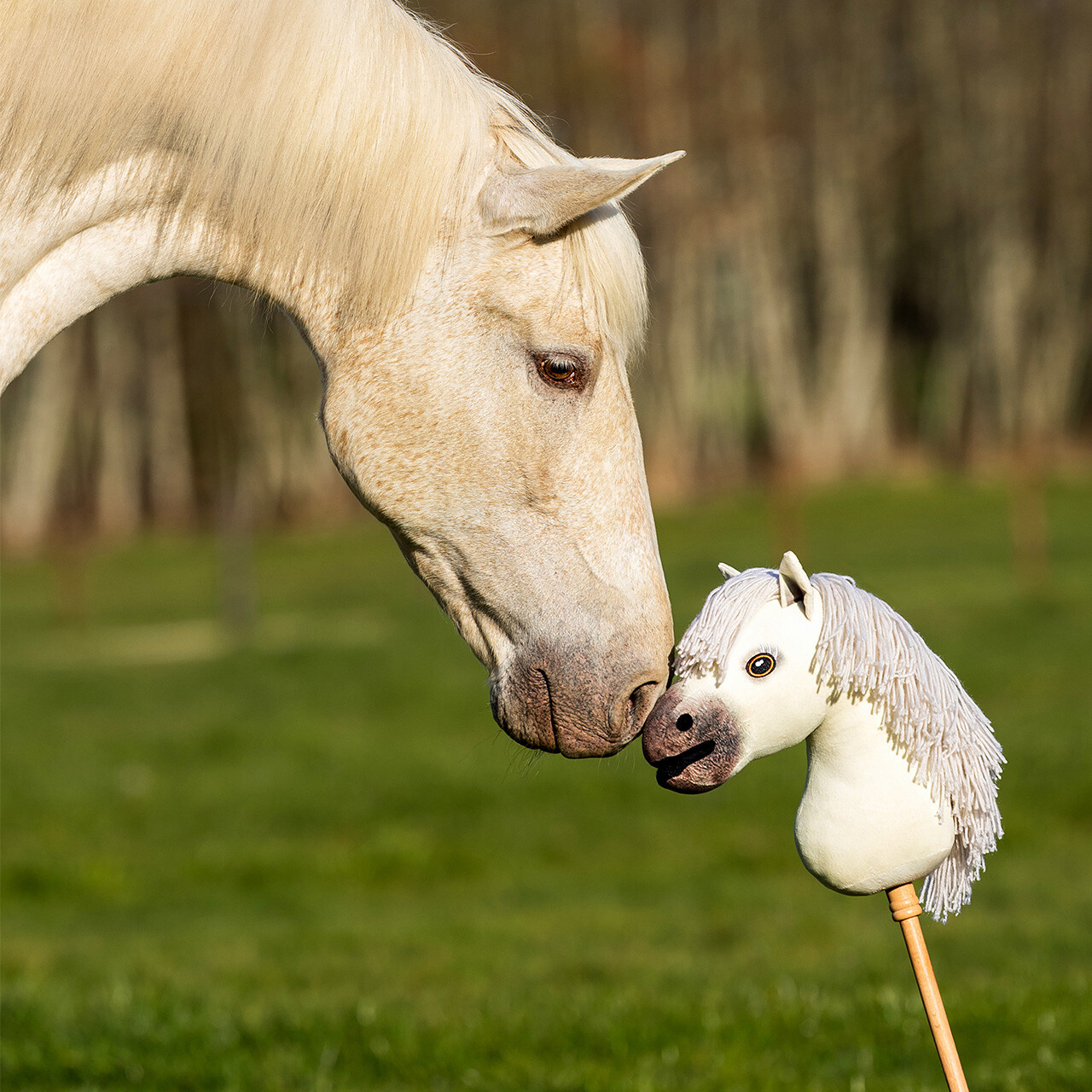 Nalanta Stokpaard Hobby Horse - Antares