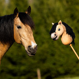 Nalanta Stokpaard Hobby Horse - Gaio