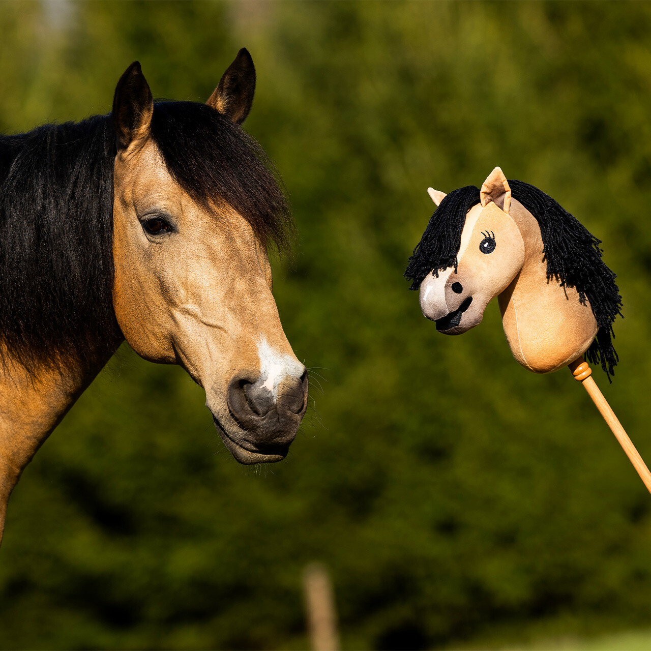 Nalanta Stokpaard Hobby Horse - Gaio
