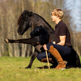 Nalanta Stokpaard Hobby Horse - Macho