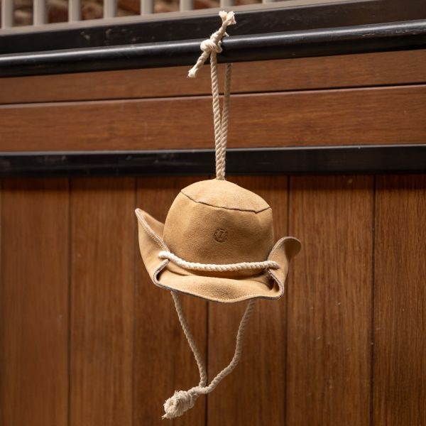Imperial Riding Stable buddy IRHCowboy hat - Bruin
