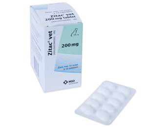 Zitac Vet 200 mg - 100 Tabletten