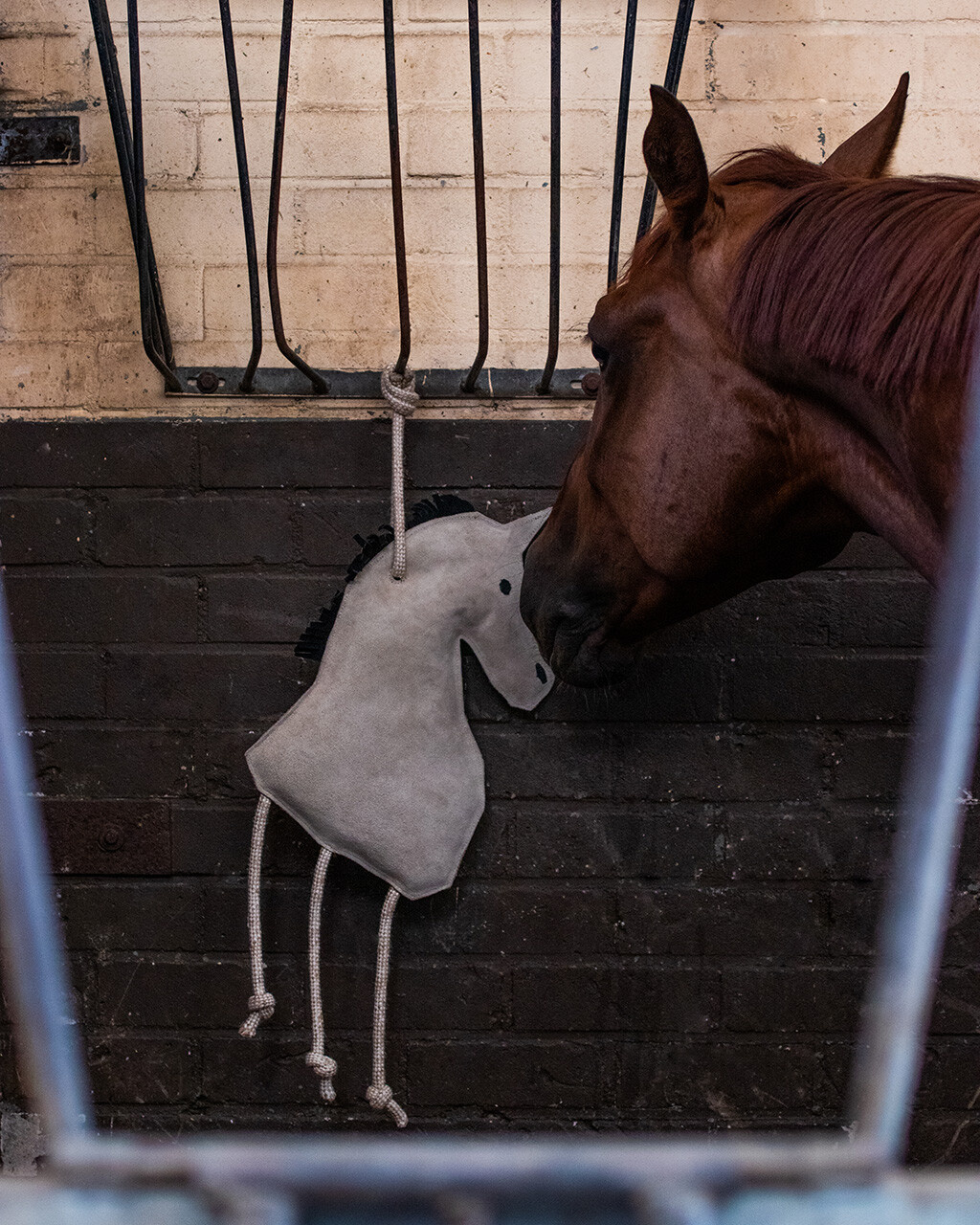 QHP Stalmaatje Paard