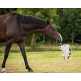 QHP Stalmaatje Paard