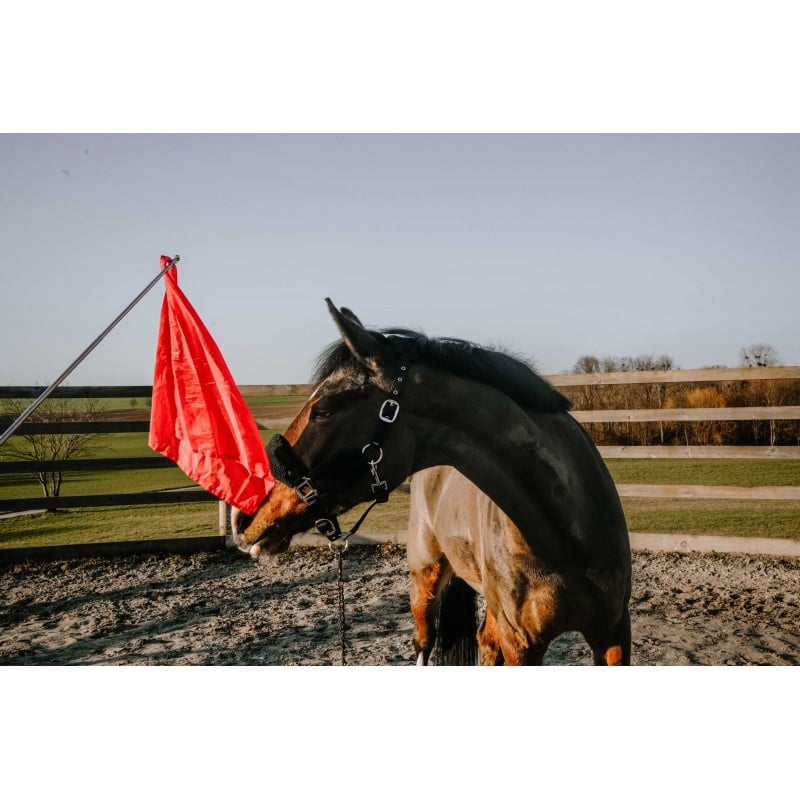 Hippo-Tonic Ethologisch Trainingsstok met Vlag - Rood