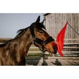 Hippo-Tonic Ethologisch Trainingsstok met Vlag - Rood