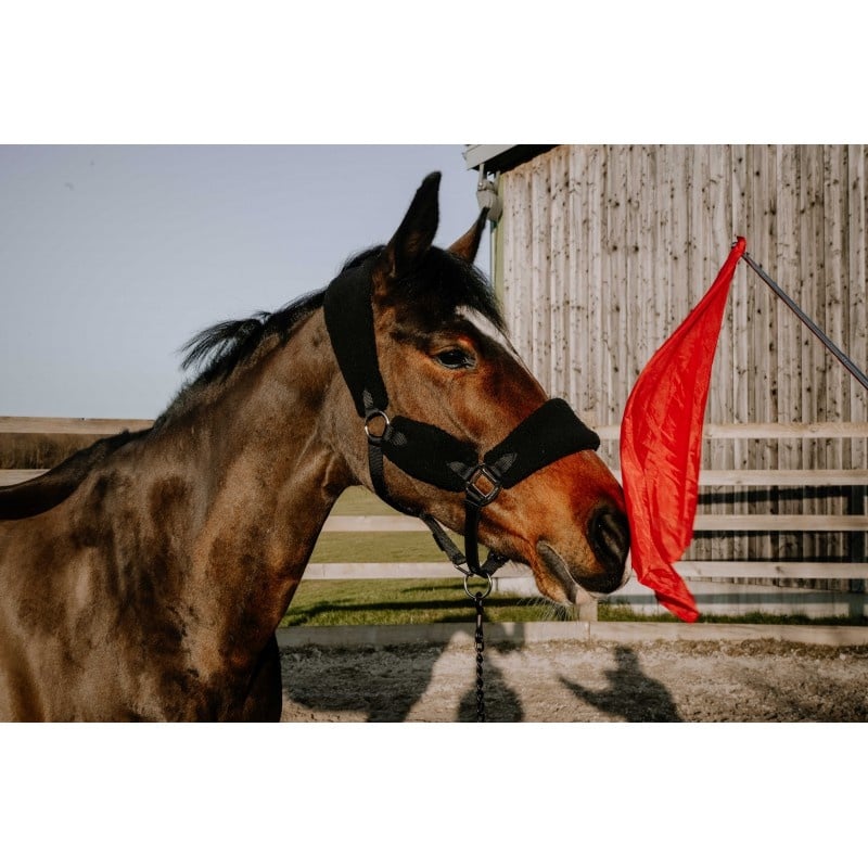 Hippo-Tonic Ethologisch Trainingsstok met Vlag - Rood
