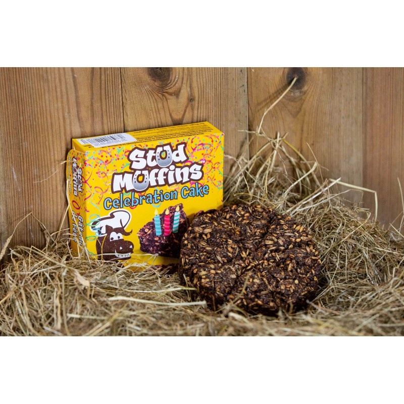 Stud Muffin Celebration Cake - 600 gram