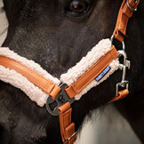 Harry's Horse Halsterset Soft STOUT! Maverick - Barn
