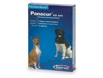 Panacur Ontwormingsmiddel K/H 500 mg - 10 Tabletten