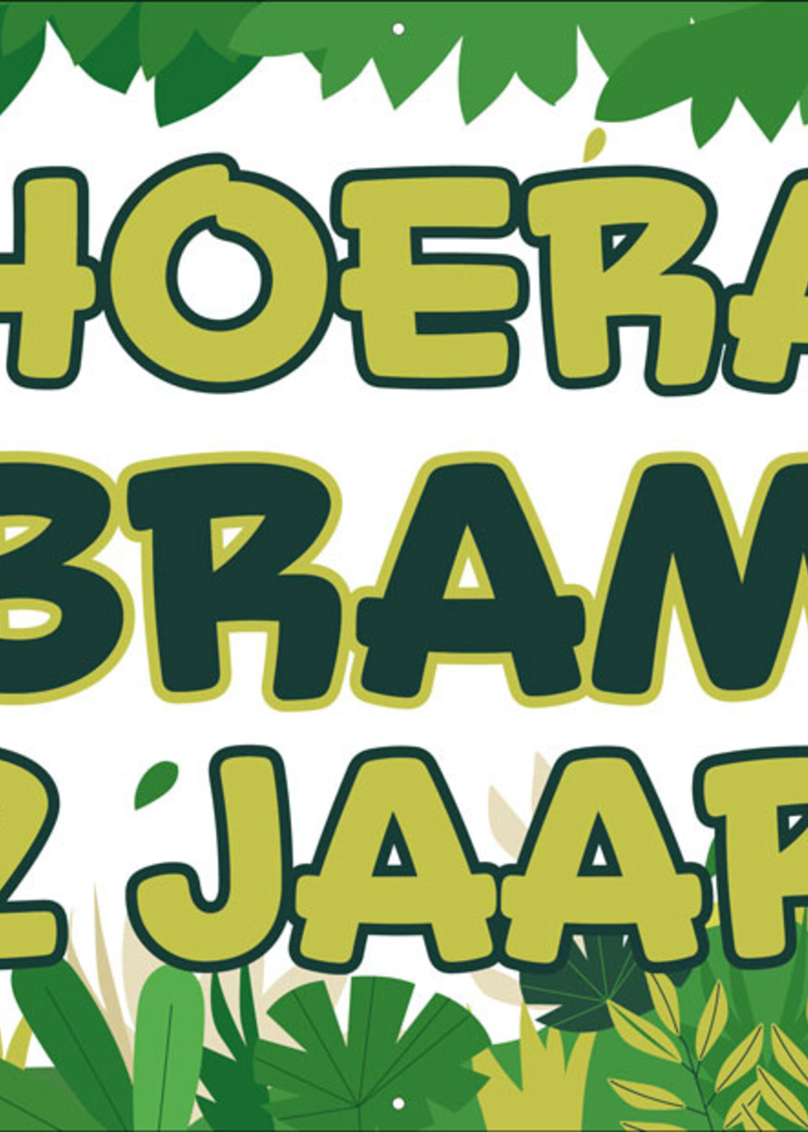 Dino - Kinderen - Hoera - Naam - .. Jaar