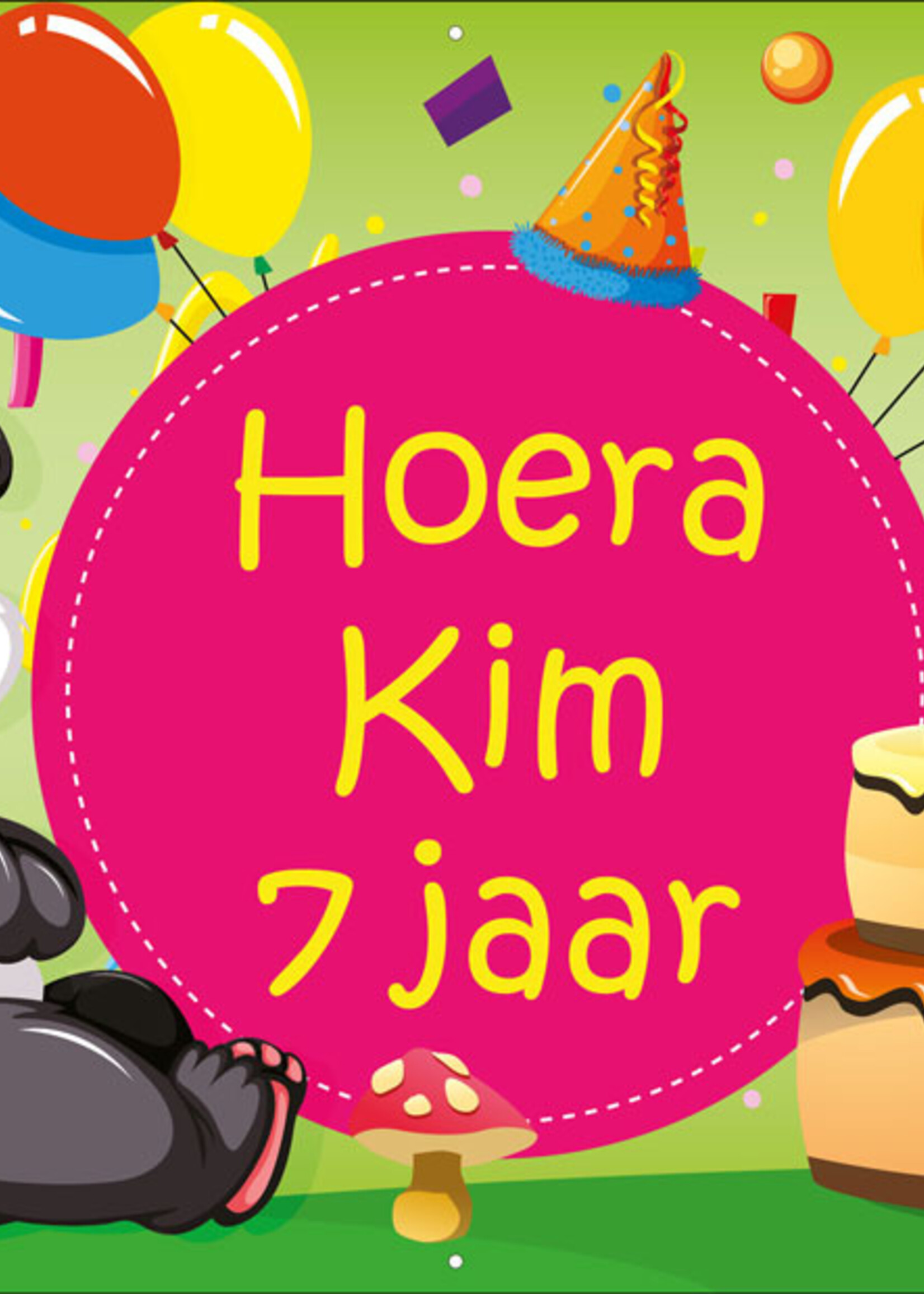 Party Panda - Kinderen - Hoera - Naam - .. Jaar