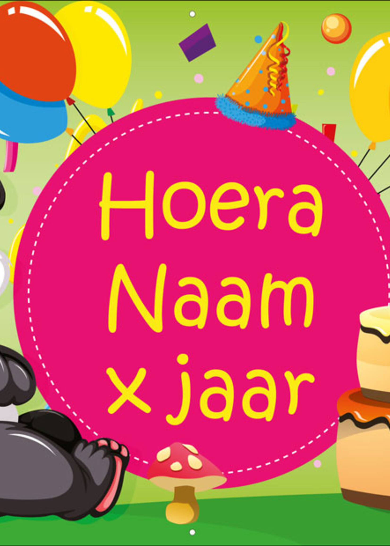Party Panda - Kinderen - Hoera - Naam - .. Jaar