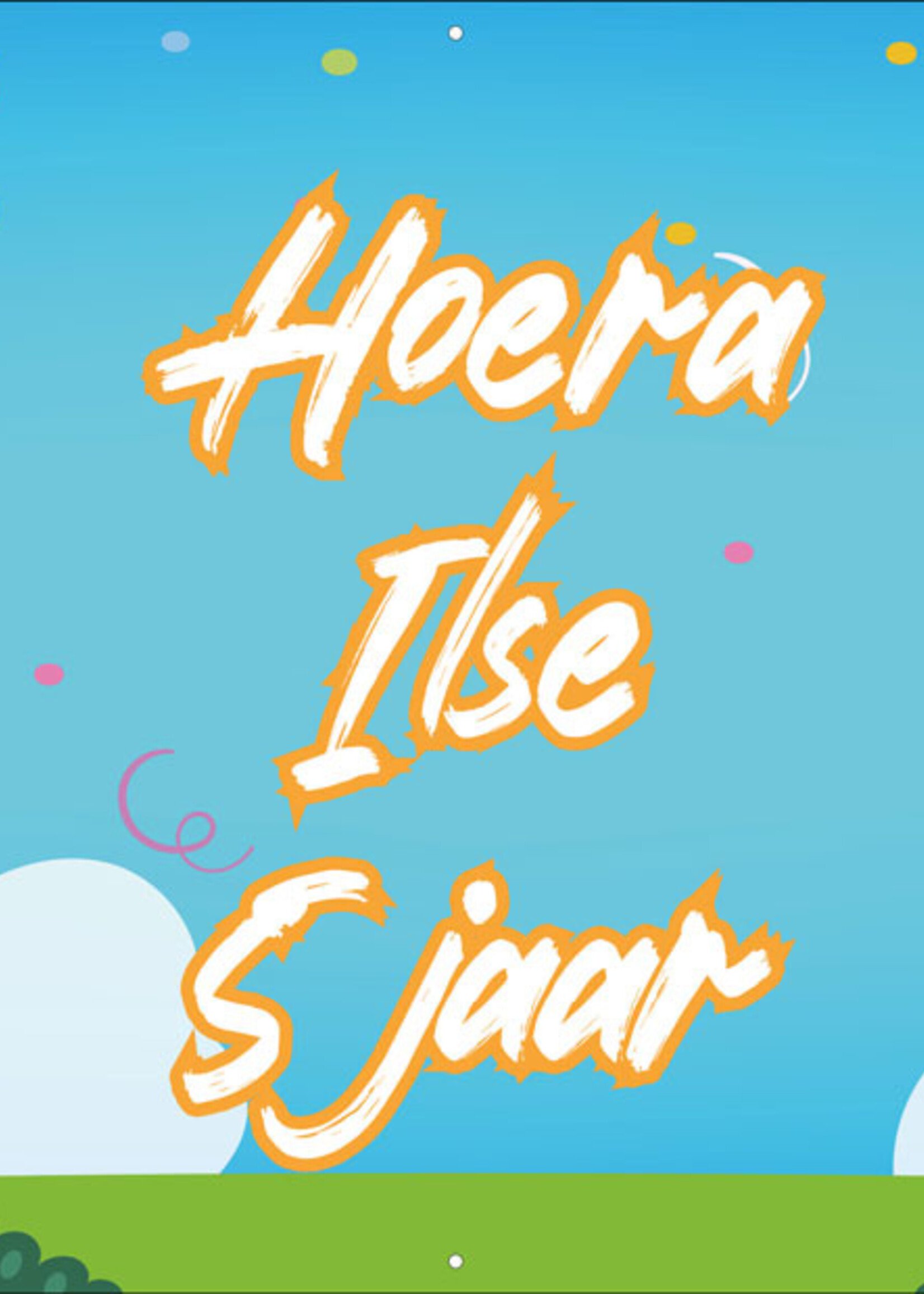 Tijger en Leeuw - Kinderen - Hoera - Naam - .. Jaar