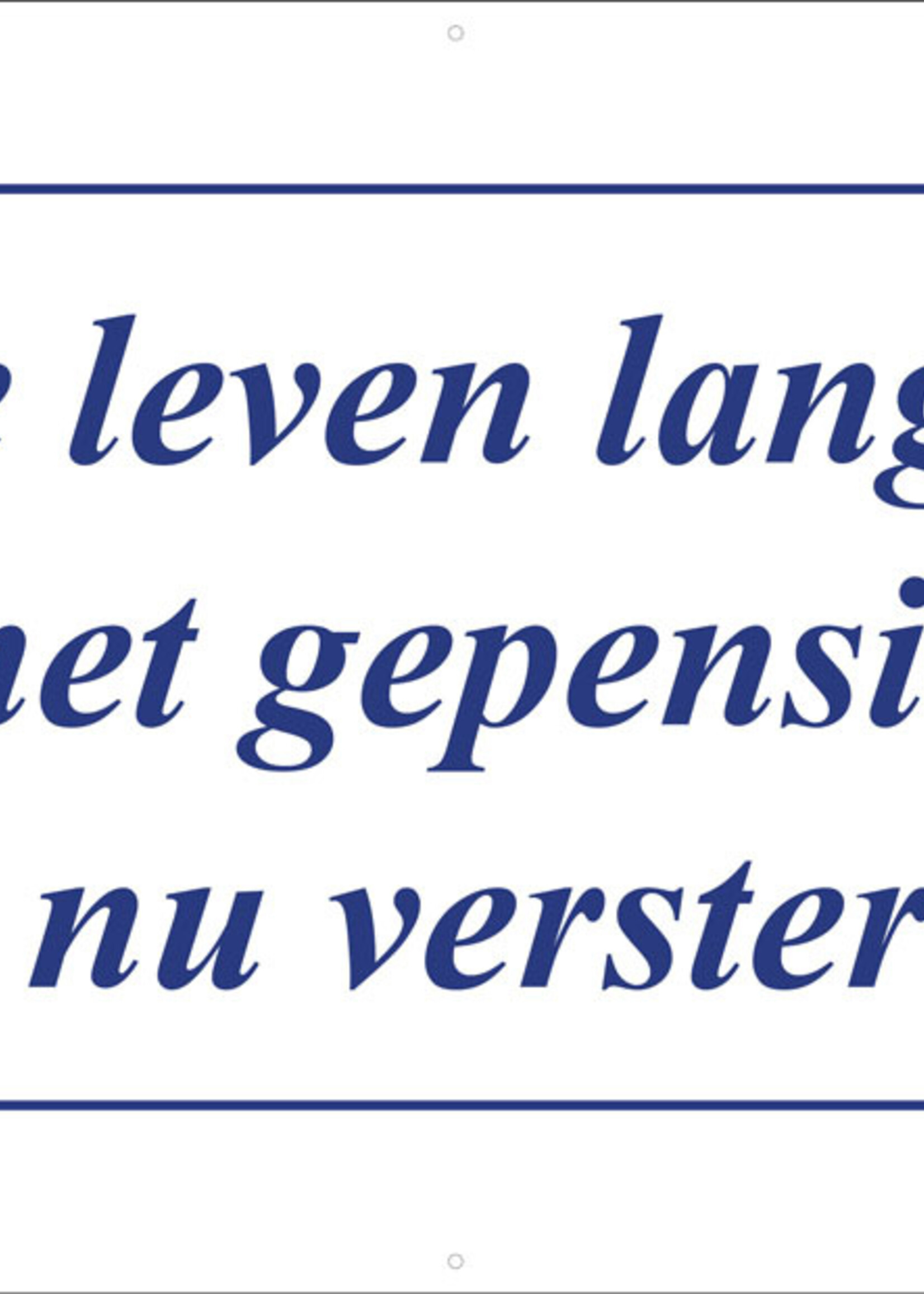 Jij hebt je leven lang gewerkt, de club met gepensioneerden is nu versterkt -  Delfts Blauw