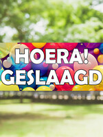 Hoera geslaagd - Ballonnen