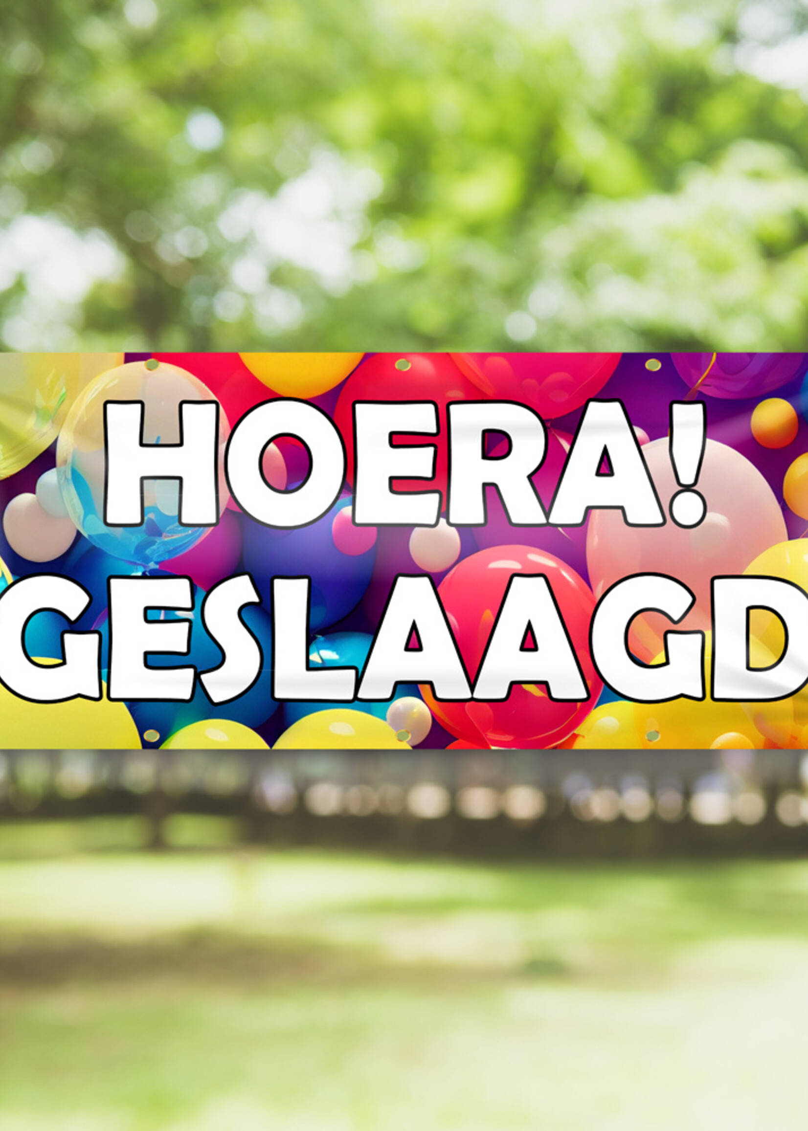 Hoera geslaagd - Ballonnen