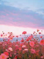 Tuinposter Bloemenveld en Zonsondergang