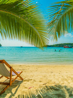 Tuinposter Strand, Palmbomen en Zee