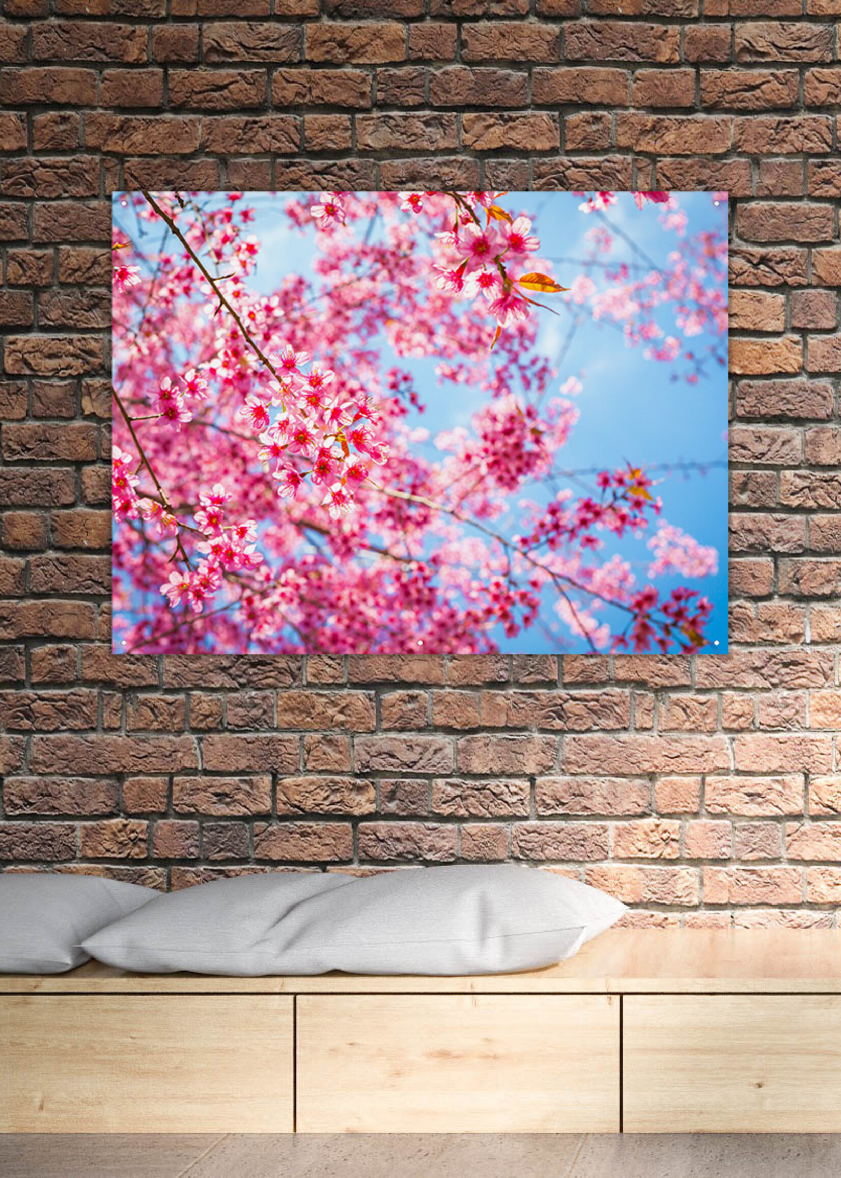 Tuinposter Cherry Blossom Tree - Kersenbloesem boom - Liggend - Landscape