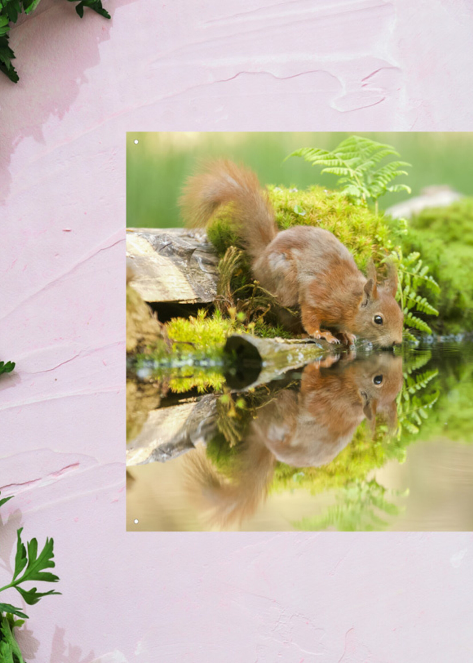 Tuinposter Eekhoorn bij water