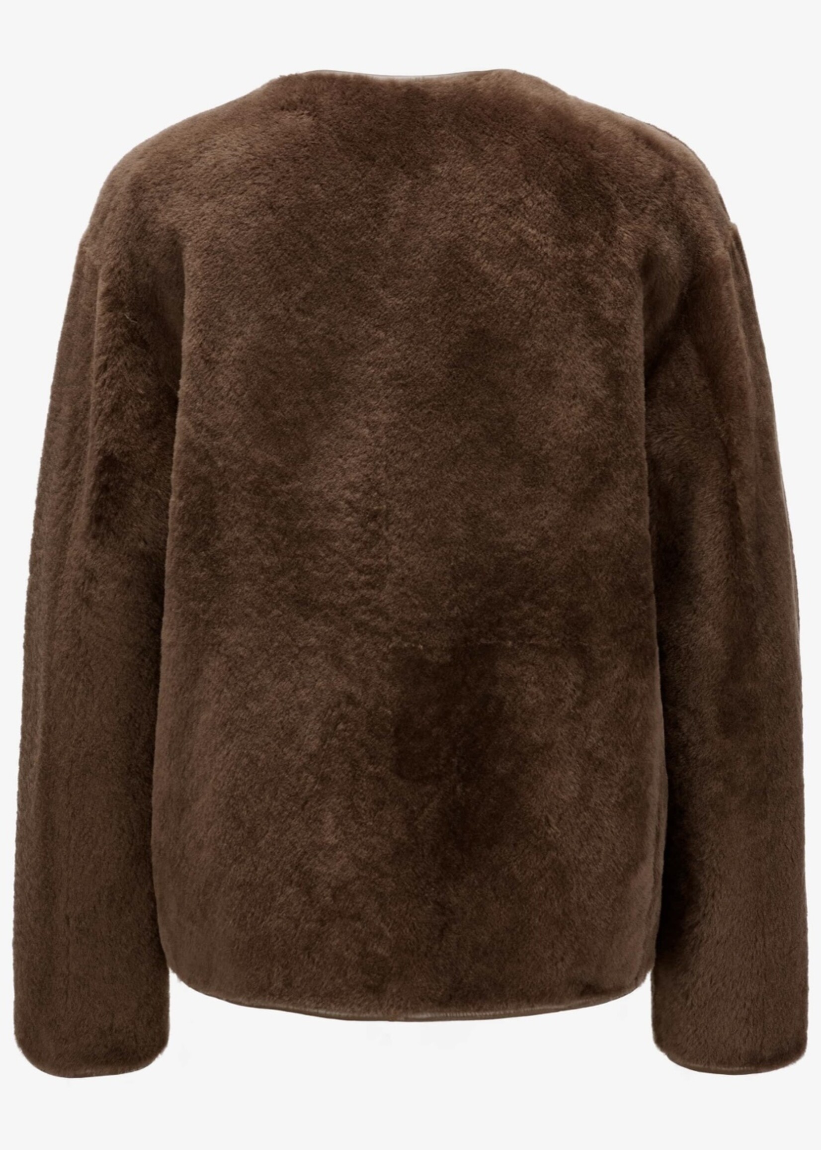 Lucine Merinillo Lacon Camel