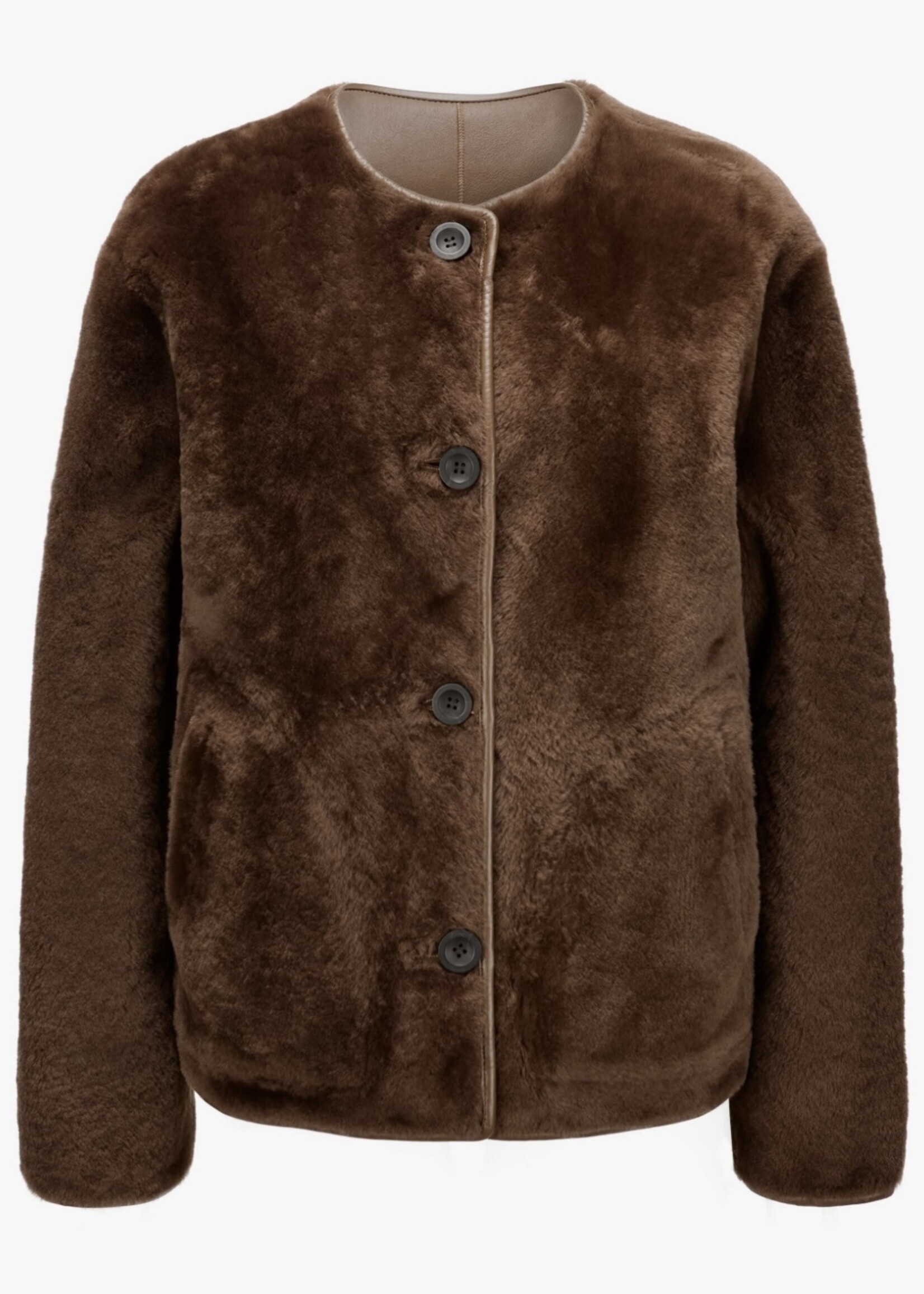 Lucine Merinillo Lacon Camel