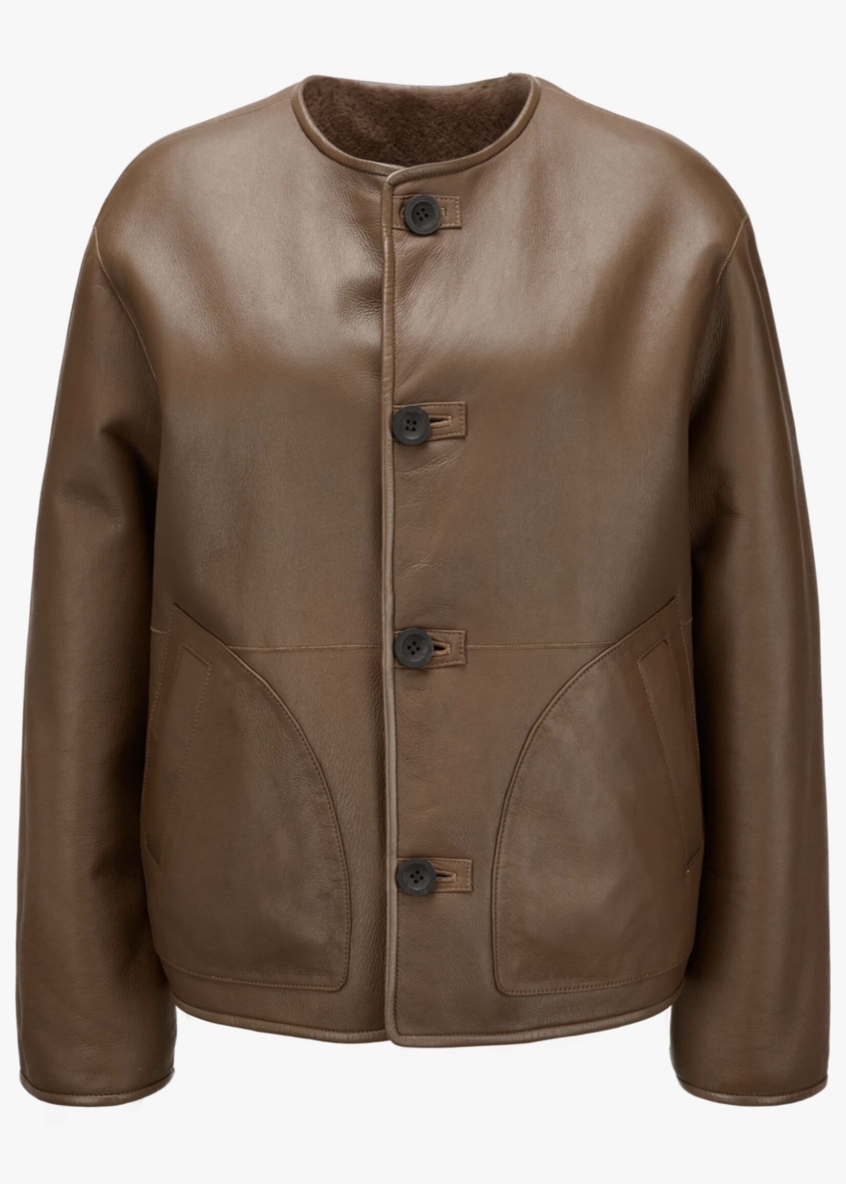 Lucine Merinillo Lacon Camel