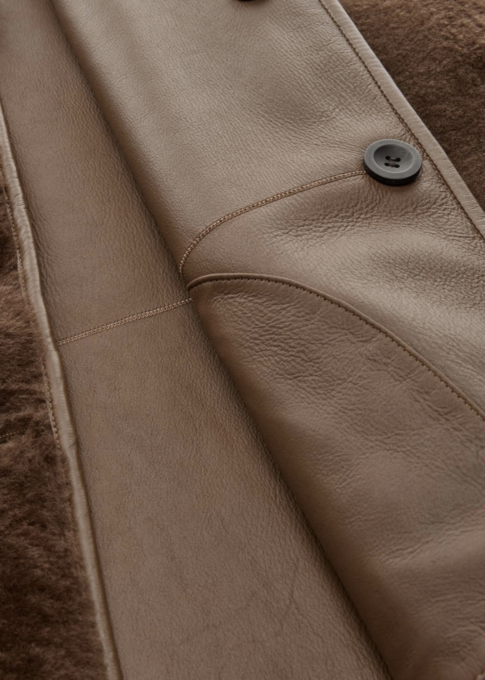 Lucine Merinillo Lacon Camel