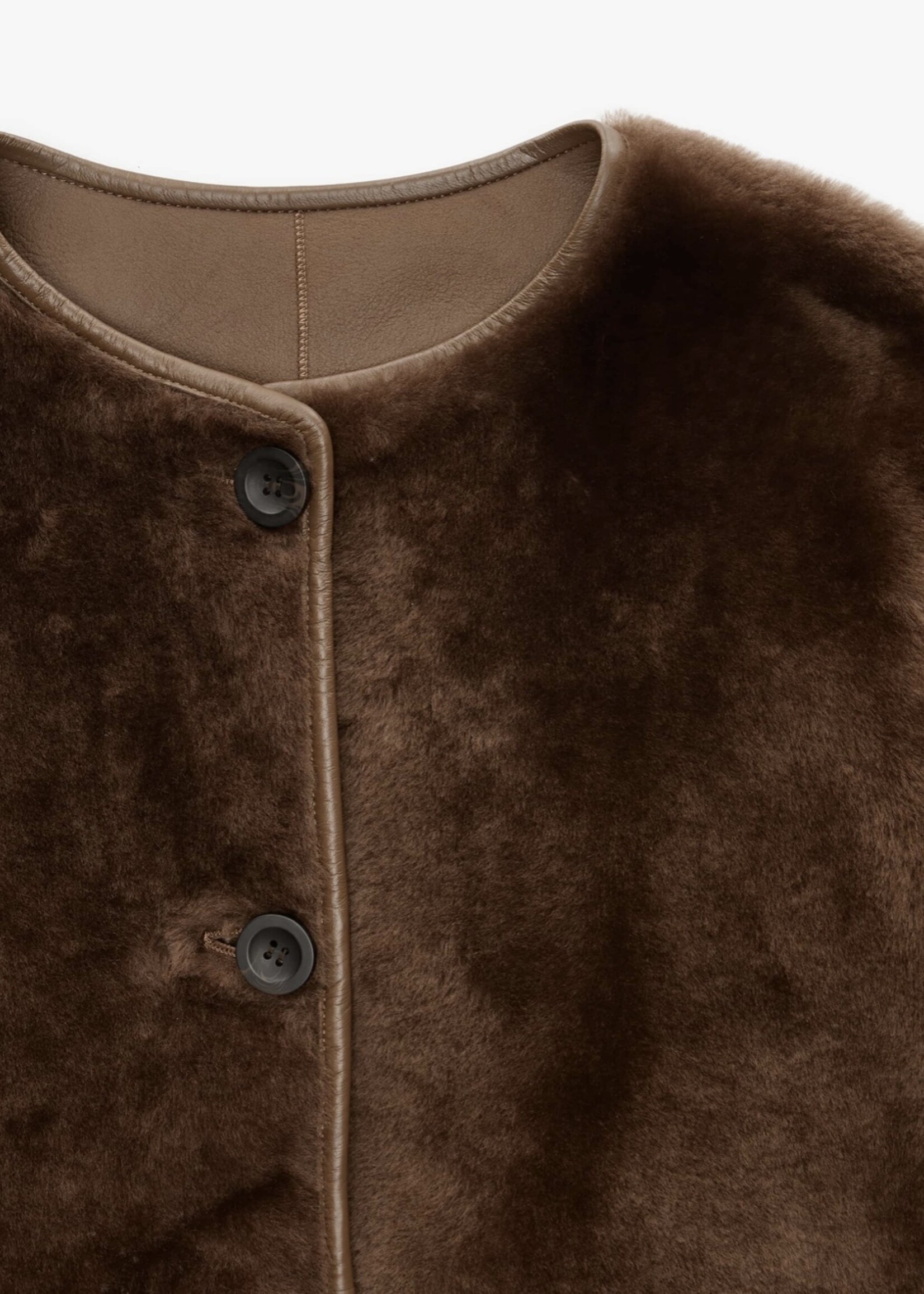 Lucine Merinillo Lacon Camel