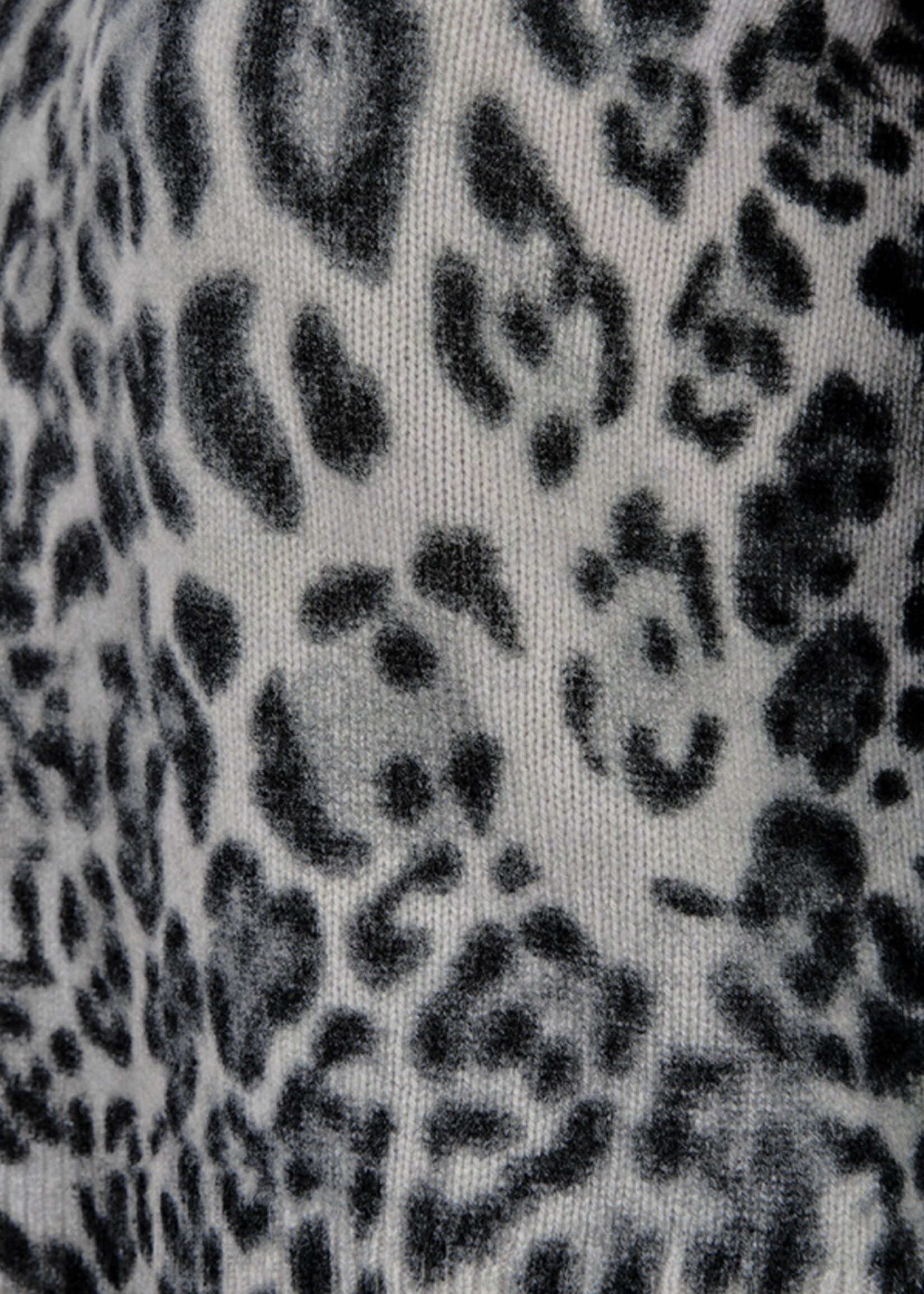 Pullover Knitted Shirt with Leo Print