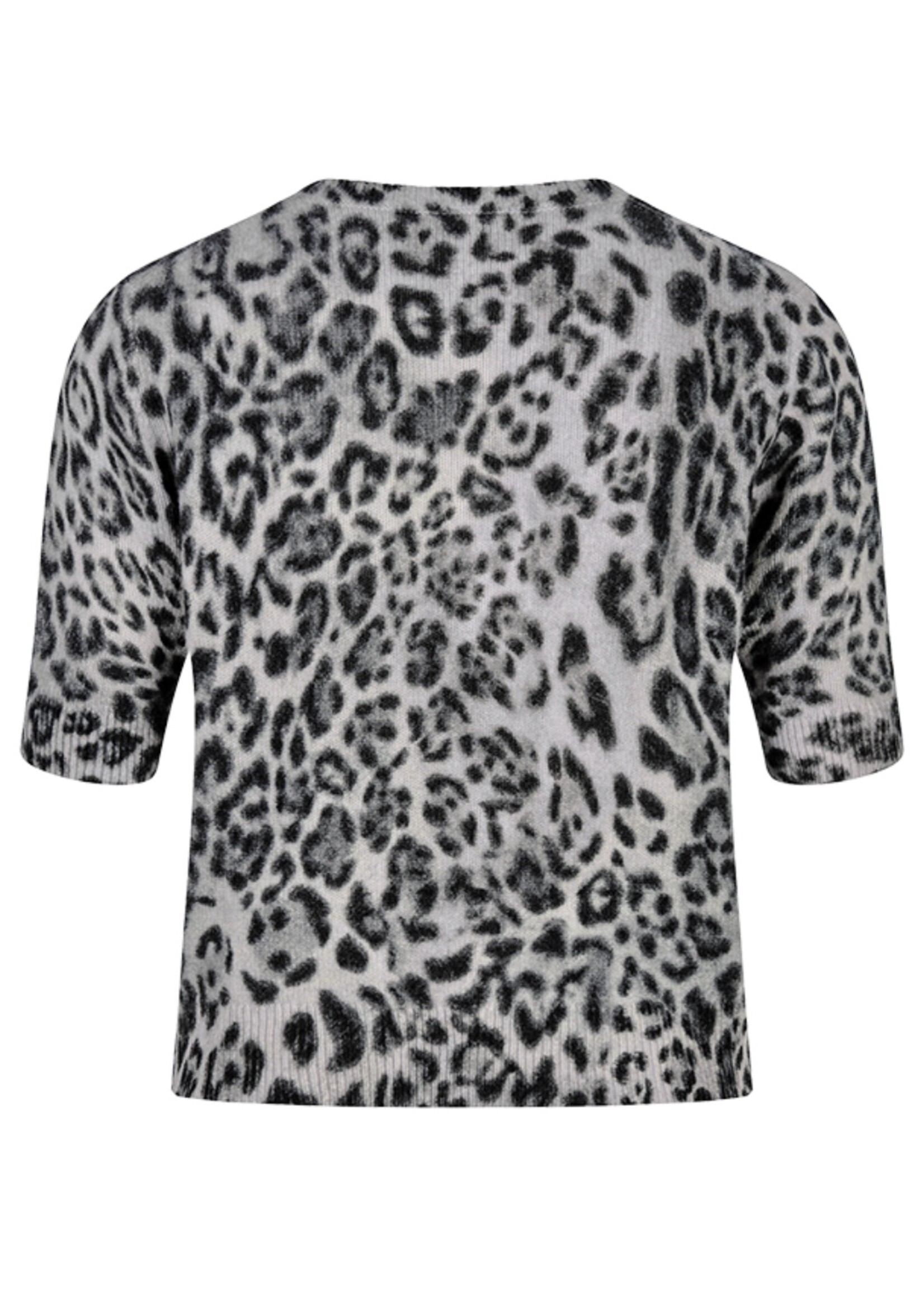 Pullover Knitted Shirt with Leo Print