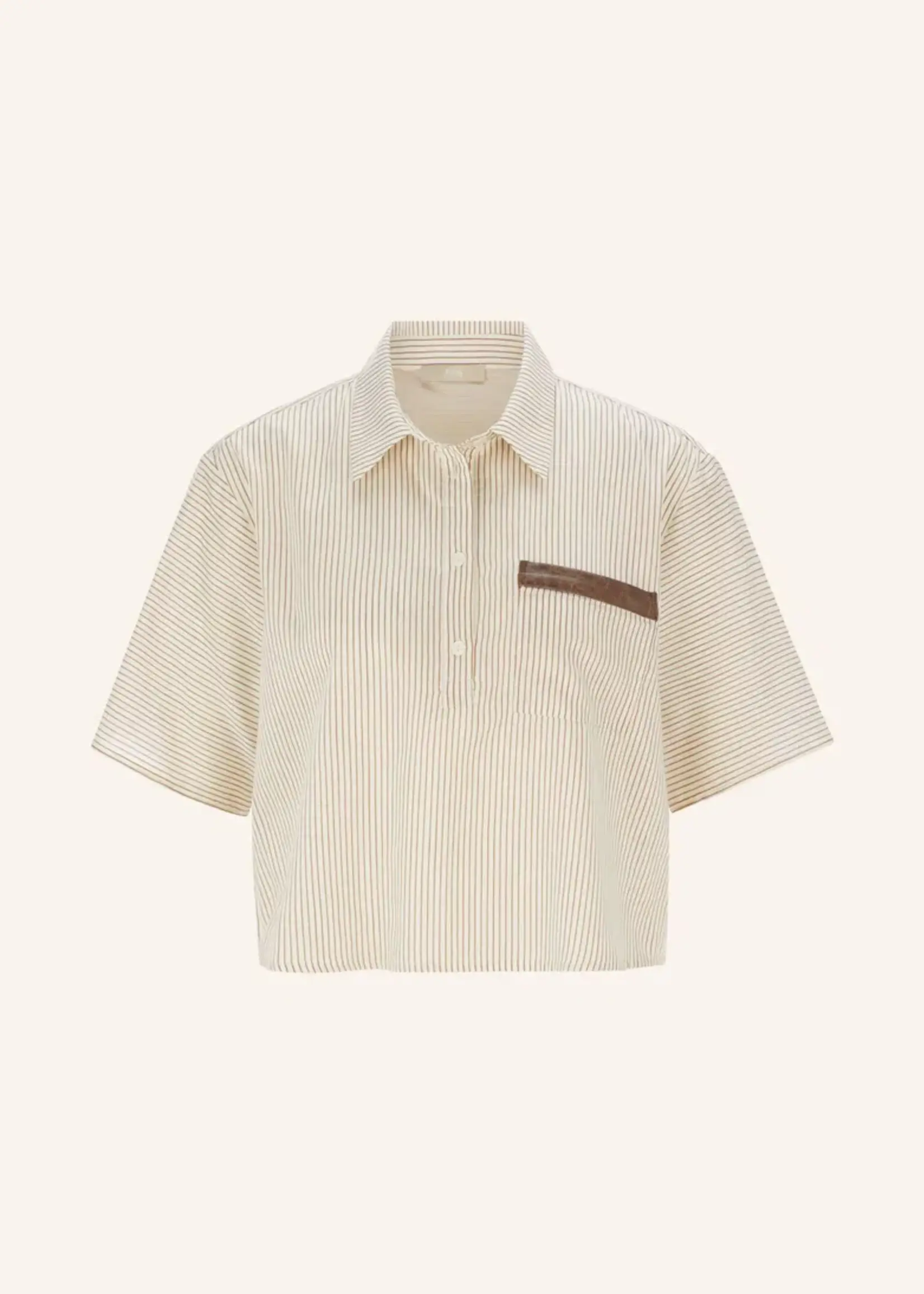 Chocolate Truffle Stripes Blouse